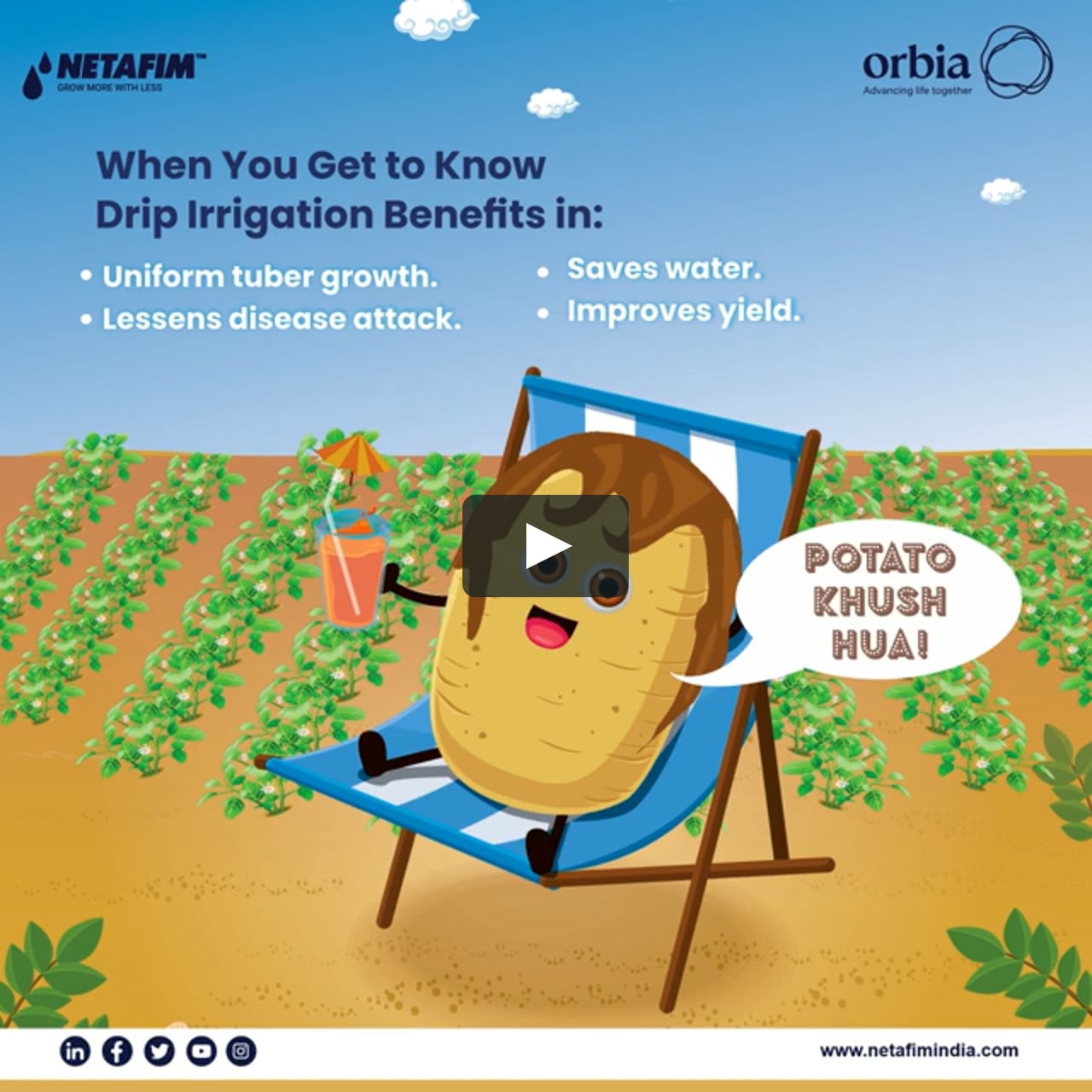 Drip Irrigation For Potato Farming on Vimeo