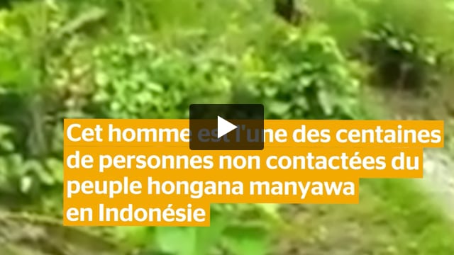 Un peuple non contacté et sa forêt tropicale sont en train d’être détruits en Indonésie !