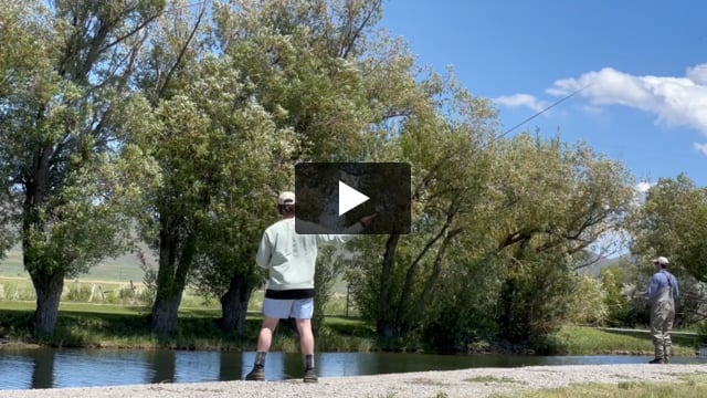 Fly fishing in Gaver’s lagoon.