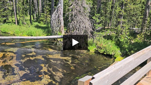 The John Dellenback Trail, open to hikers and bicyclists, passes by Silent Creek.