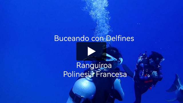 Delfines en mar abierto en el paso este de Rangiroa, Tuamotus, Polinesia Francesa