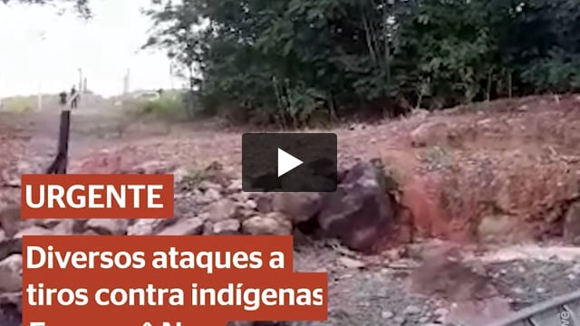 Ataques contra indígenas Enawenê Nawê (MT)