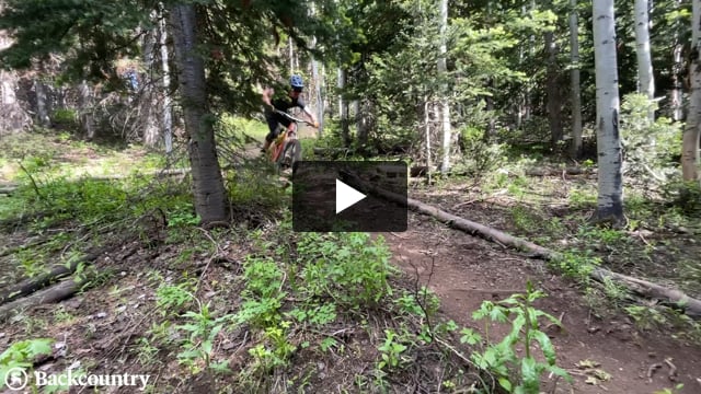 Aggressor Wide Trail Double Down/TR 27.5in Tire - Video