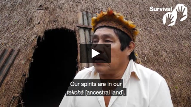 "Our spirits are in our tekohá – ancestral land"