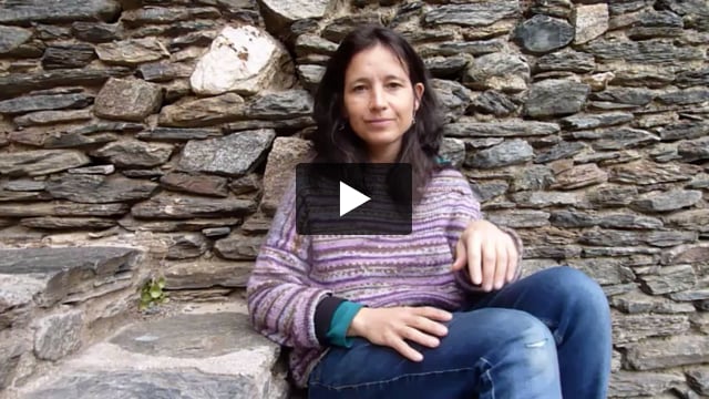 Del Jardí Botànic a l’MCNB, tots els passos d’una col·lecció barcelonina d’abelles Helena Barril Graells