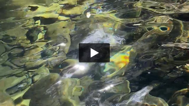 龍鎮神社 螺旋の光