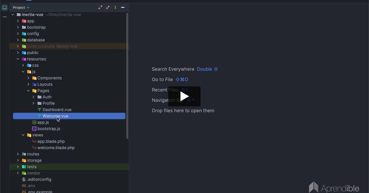 3. Instalación de Laravel Inertia con Vue