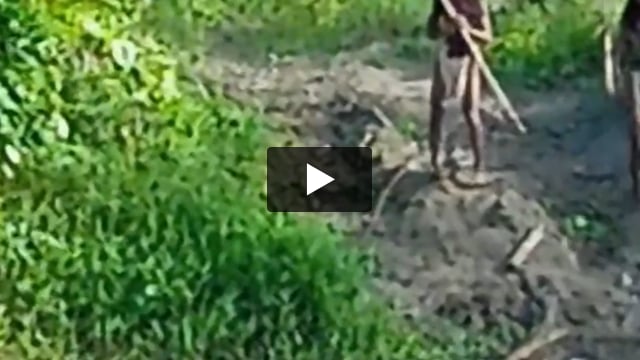 Indonesia: nuovo video mostra degli Hongana Manyawa incontattati fronteggiare i bulldozer vicino a una miniera di nichel