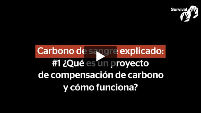 Simon Counsell sobre Carbono De Sangre