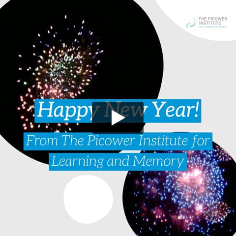 A video opens with the text "Happy New Year From the Picower Institute for Learning and Memory" overlaid on exploding fireworks.