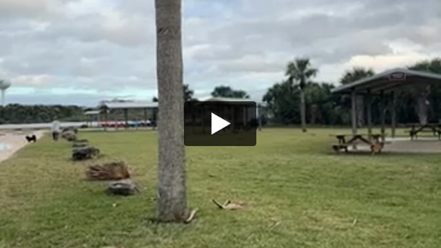 Multiple shelters. Have water but no elec