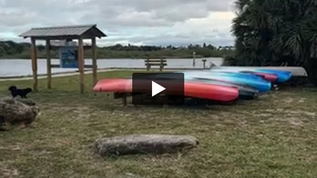 Rentals available. Ranger tours of swamp avl