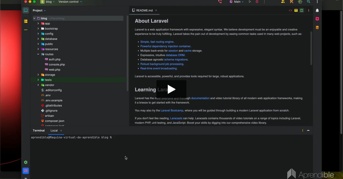 6. PHPStorm para Laravel 11