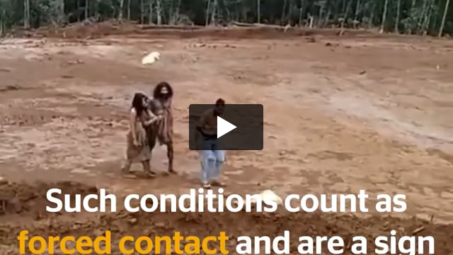 Uncontacted Hongana Manyawa: forced contact