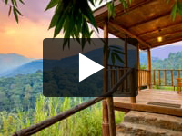 Play video My Rustic Lodge in the Misty Mountains of Uganda