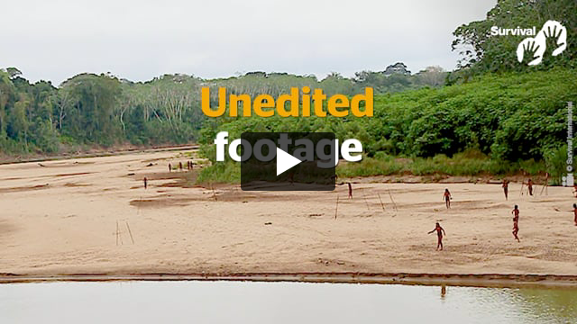 Incredible new footage: uncontacted Mashco Piro emerge