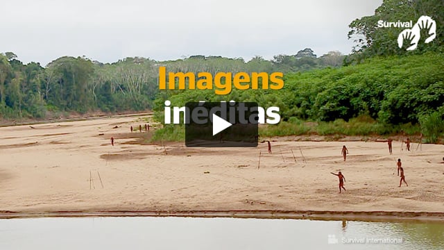 Indígenas isolados Mashco Piro próximos a áreas de exploração madeireira na Amazônia peruana