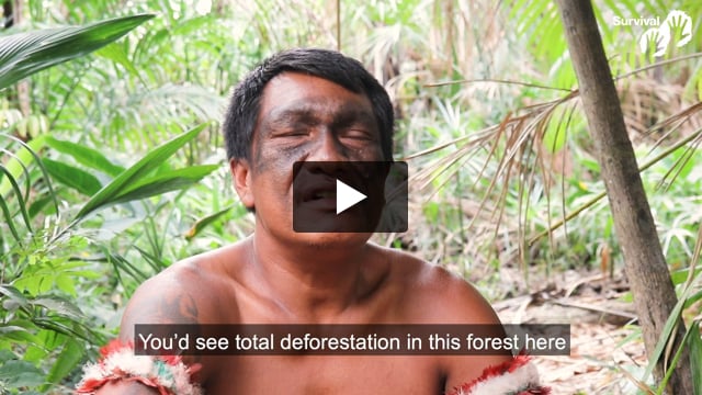 “We’re defending nature and protecting the environment for everyone”