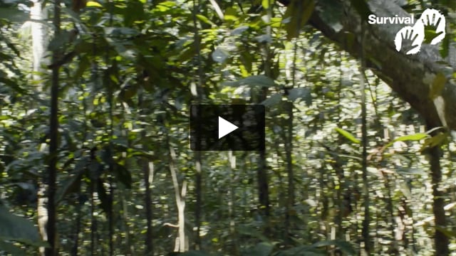 “Without our forest, we are nothing”