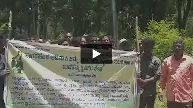 Adivasi people stand up against tiger reserves