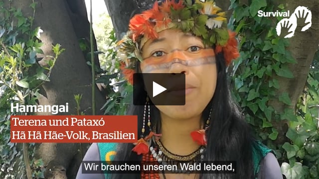 „Ohne unseren Wald sind wir nichts“