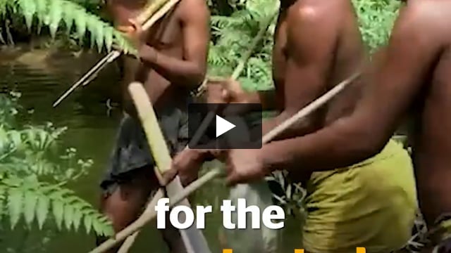 Watchtowers over the uncontacted Shompen people in India?