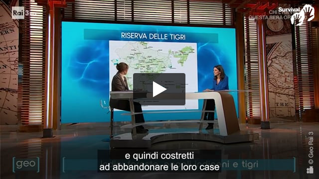 "India: Riserve della Tigre e sfratti dei popoli indigeni"