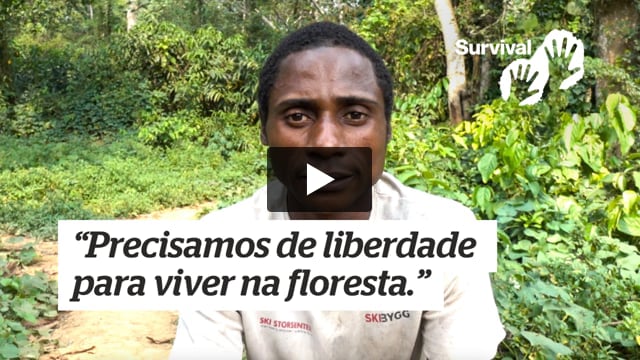 “Precisamos de liberdade para viver na floresta.”