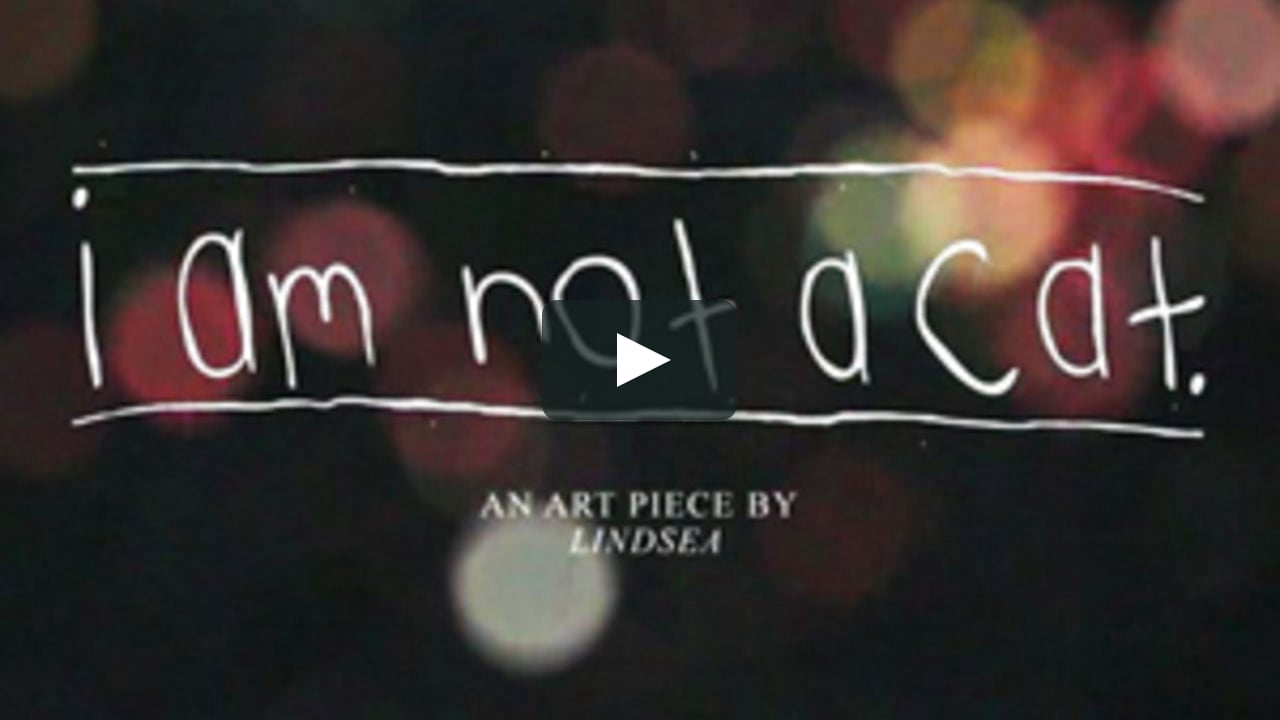 I Am Not A Cat On Vimeo I Am Not A Cat On Vimeo