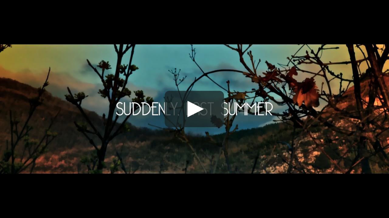 Last summer we to live. Last Summer Vimeo.