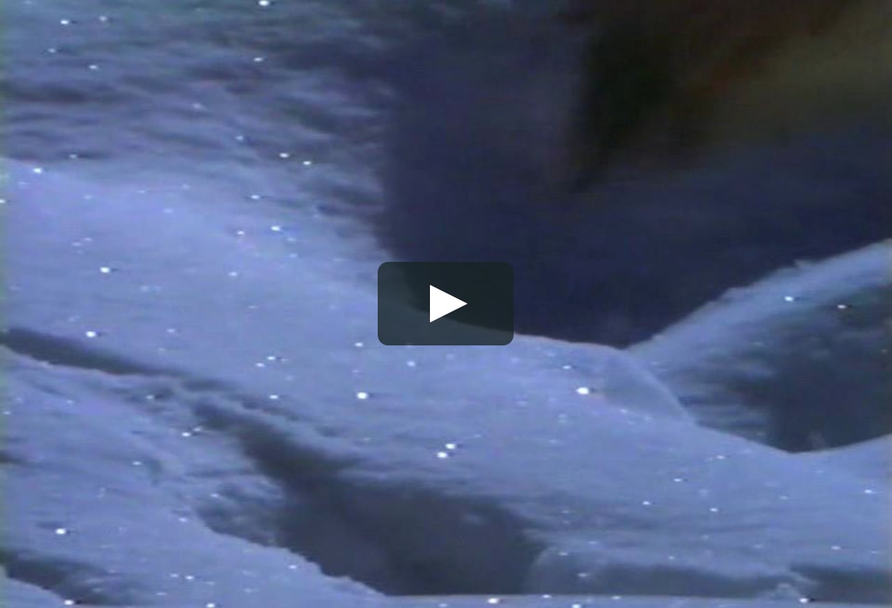 DISCOVERY CHANNEL Wolves At Our Door on Vimeo