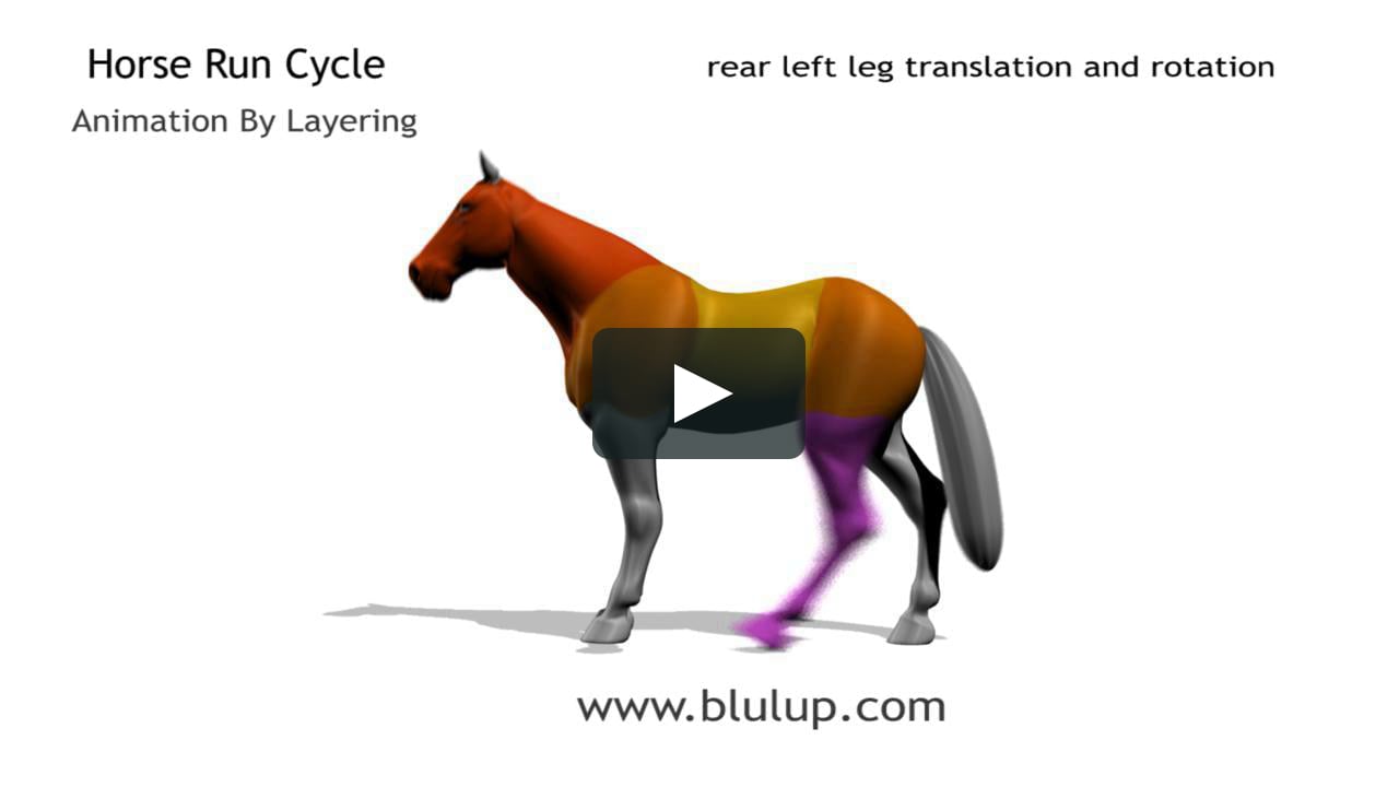 Quadruped Animation by Layering - Horse Run Cycle on Vimeo