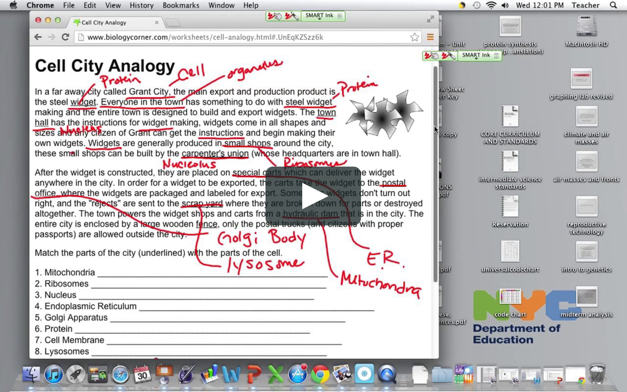 Cell City Analogy Intended For Cell City Analogy Worksheet Answers