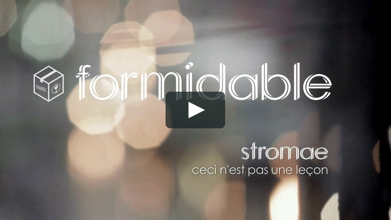 Стромае формидабле перевод. Стромае формидабле. Stromae Formidable клип. Formidable перевод. Formidable песня.