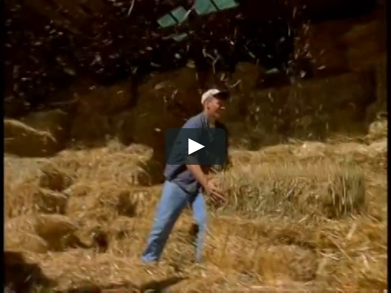 Baby Einstein Baby Mcdonald Youtube On Vimeo Baby Einstein Baby Mcdonald Youtube On Vimeo