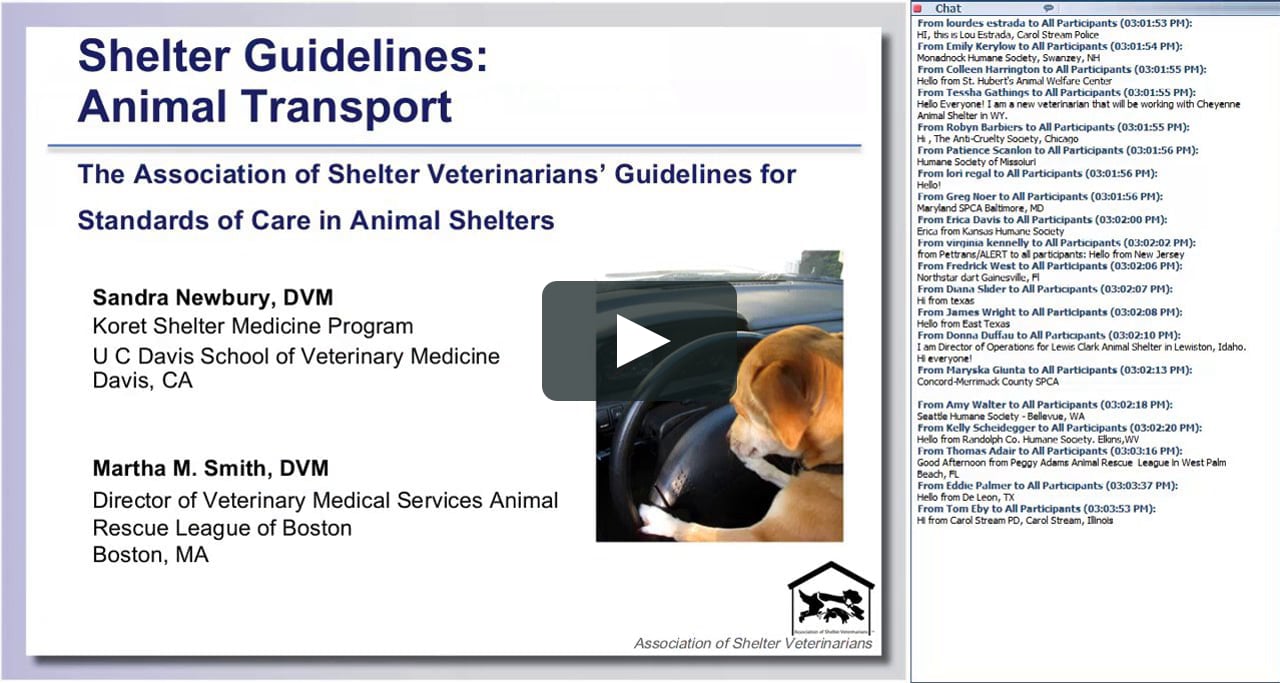 8 Shelter Guidelines Animal Transport on Vimeo
