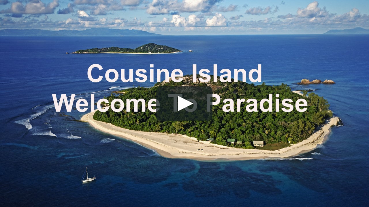 Welcome to paradise обзор. Welcome to Seychelles. Остров на Сейшелах для миллионеров. Остров раунд Сейшелы. Seychelles small Island.
