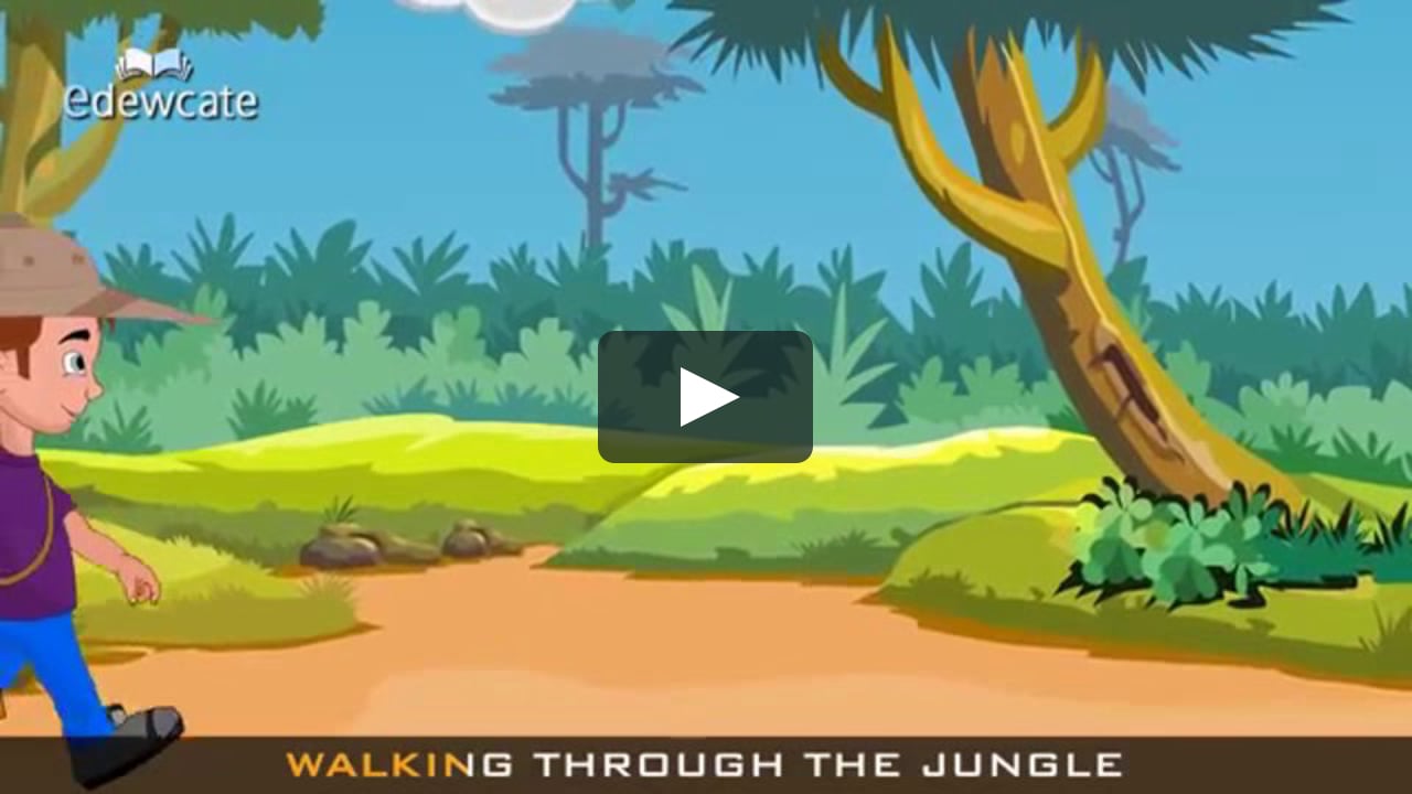 Walking through the jungle on Vimeo