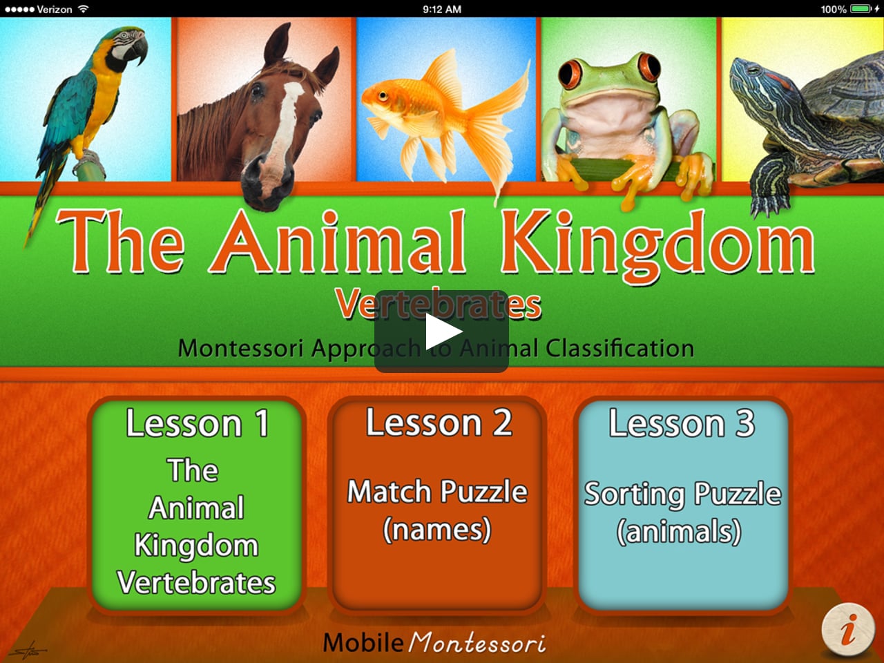 The Animal Kingdon Vertebrates on Vimeo