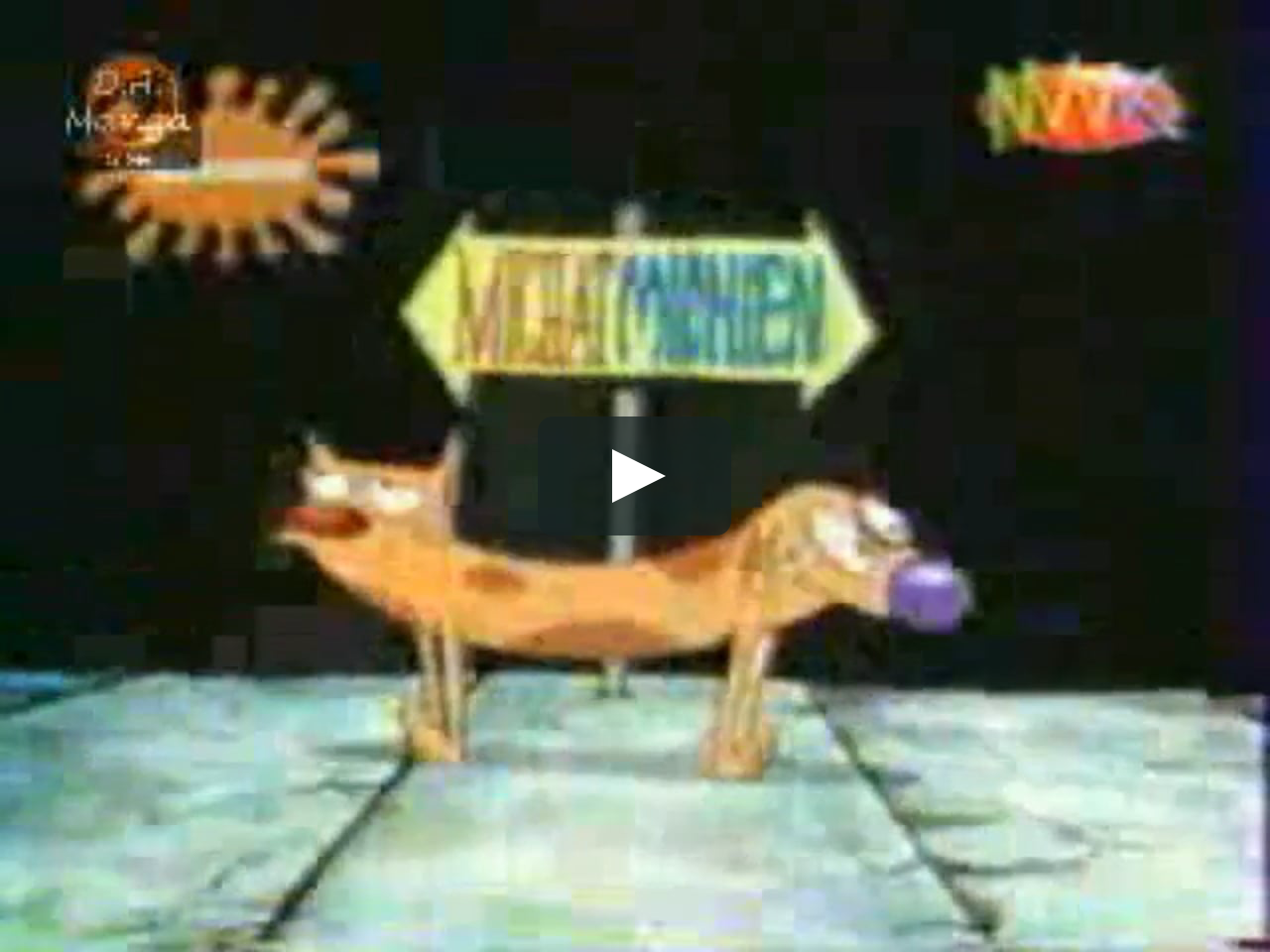 Catdog Theme In Eroupein French Michat Michien On Vimeo