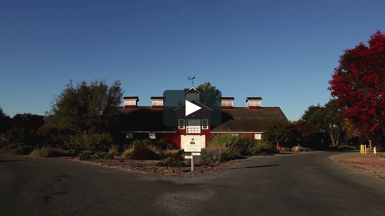 abbie-frog-s-leap-winery-on-vimeo