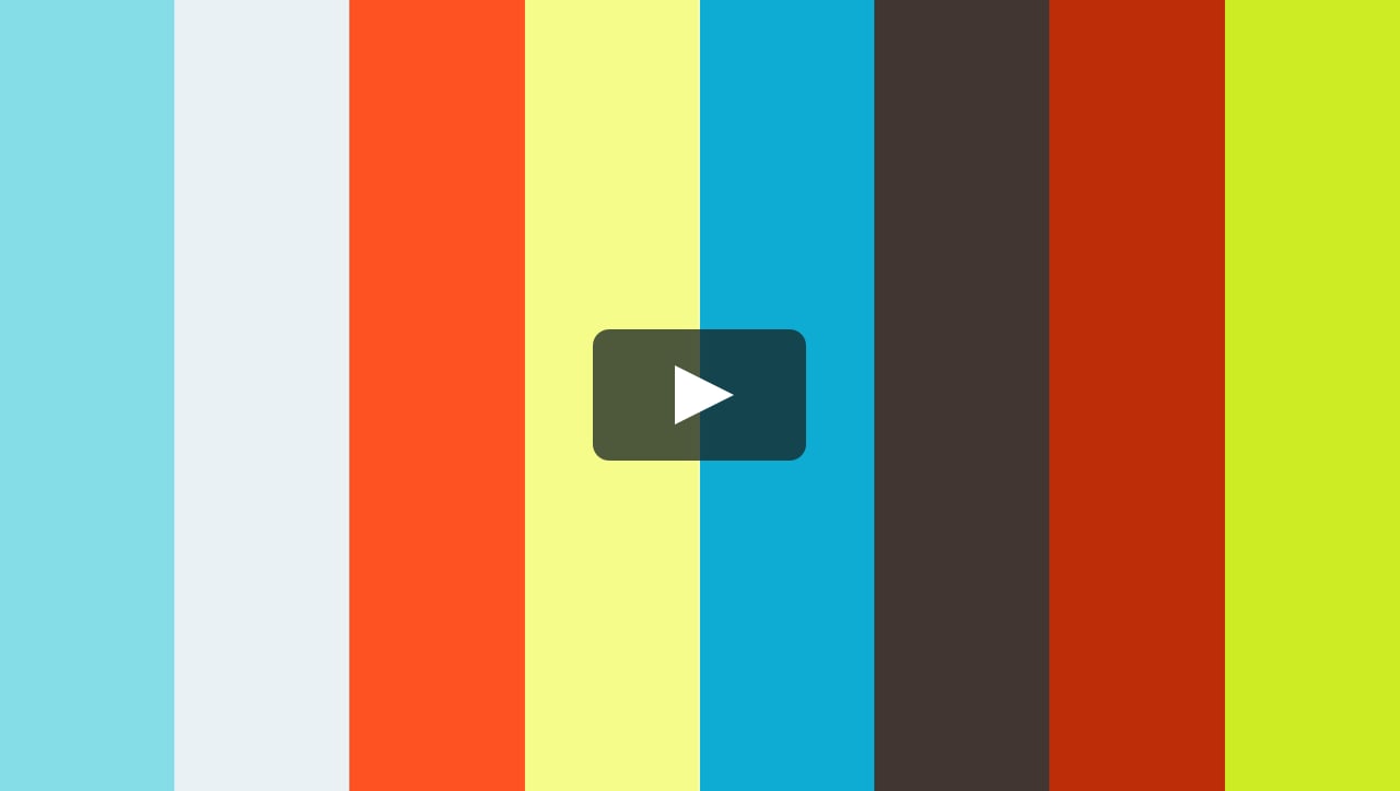 Golden Retriever Dogs 101 On Vimeo