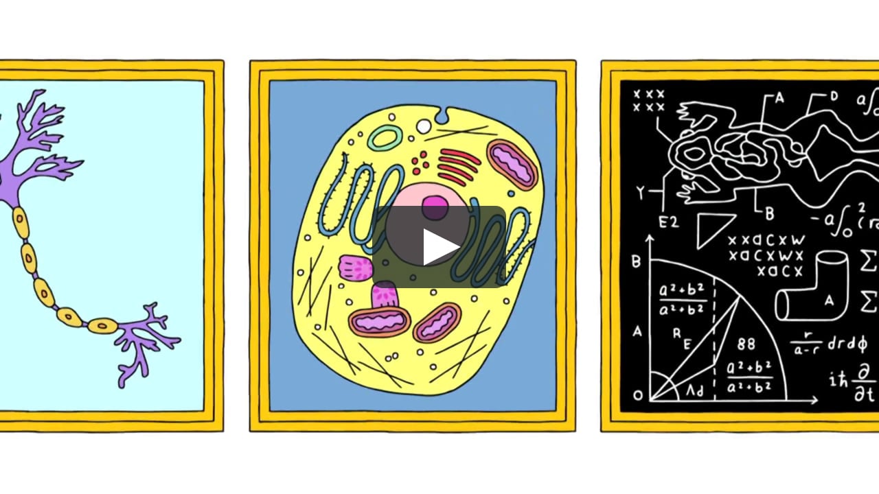 the-wacky-history-of-cell-theory-lauren-royal-woods-on-vimeo