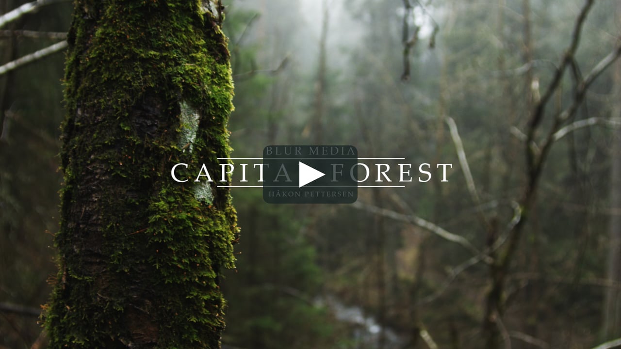 "Capital Forest" is a MTB-movie portraying the beautiful forest...
