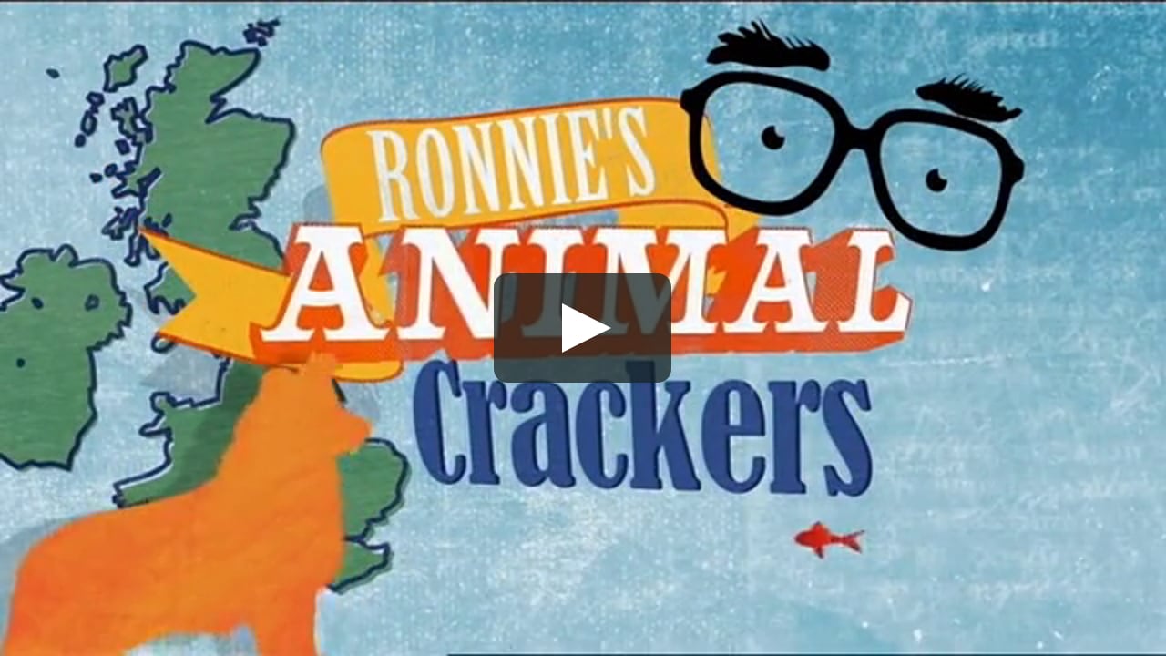 PLUM PICTURES - RONNIES ANIMAL CRACKERS on Vimeo