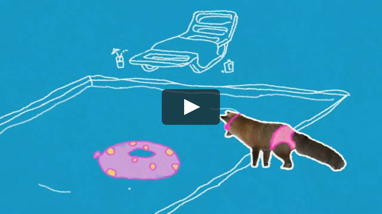 Animal Planet Club - Bumpers Batch 1 on Vimeo