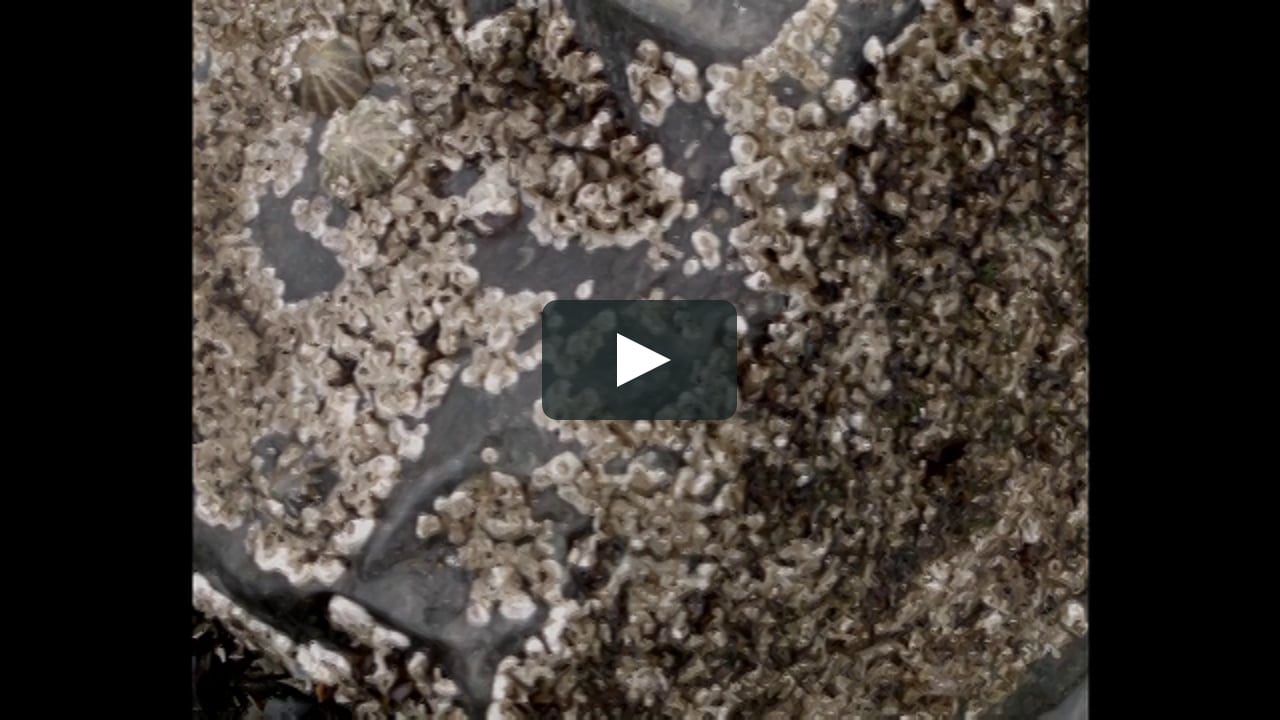 Lettres d'évasion - Kevin