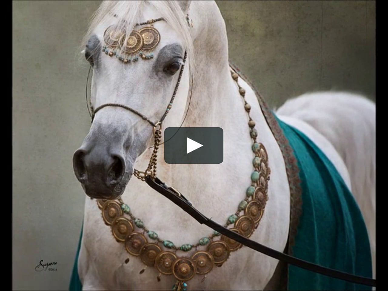 Лошадь с украшениями белая