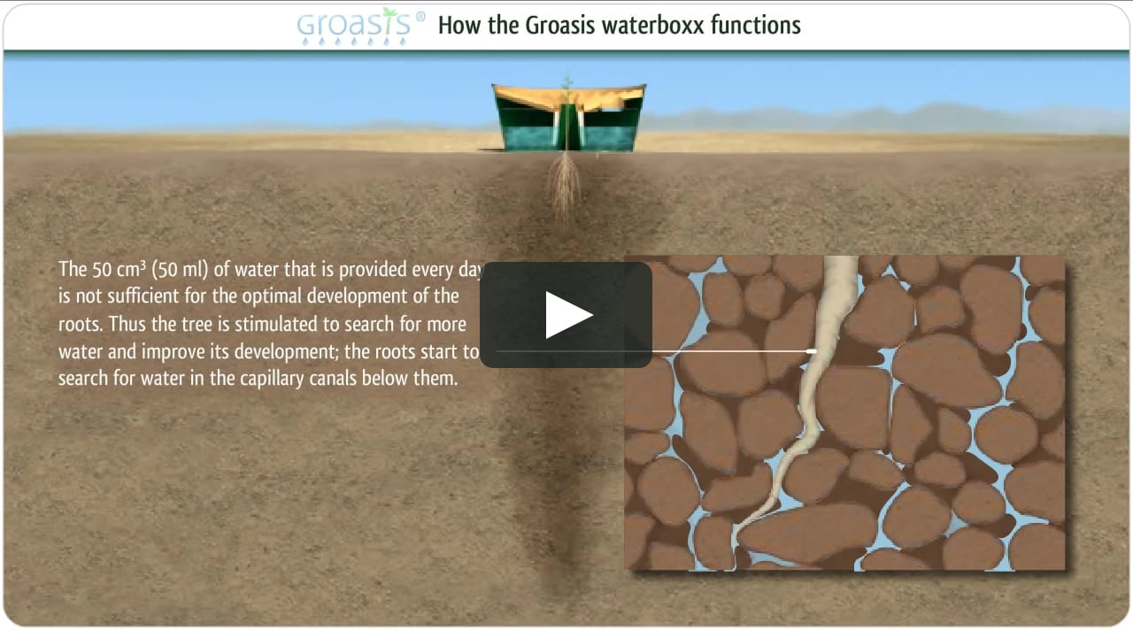 How Does The Groasis Waterboxx Work Against Desertification On Vimeo