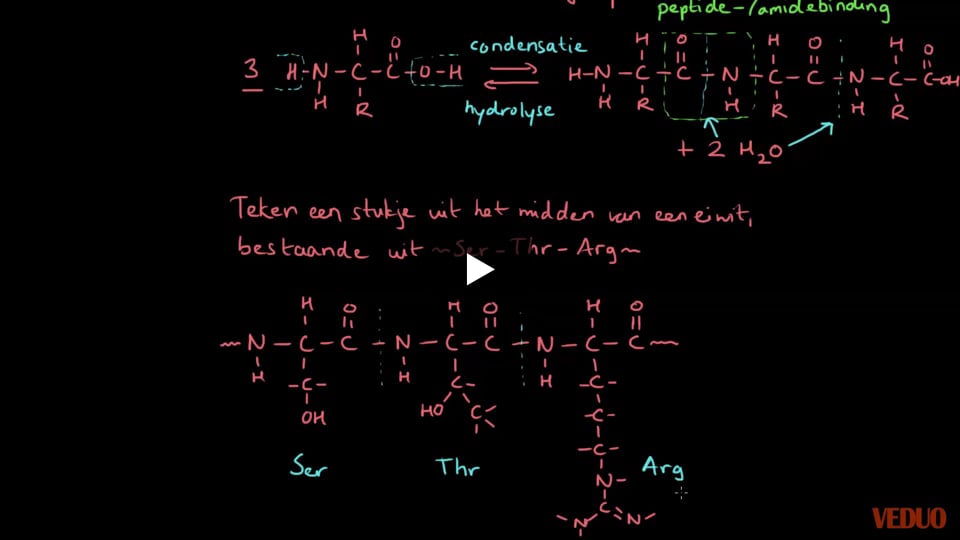 Polymerisatie van aminozuren